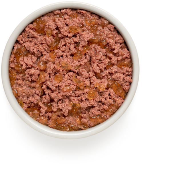 Grandorf Wild Boar&Turkey Консерва м'ясо дикого кабана з індичкою для собак 70606 фото