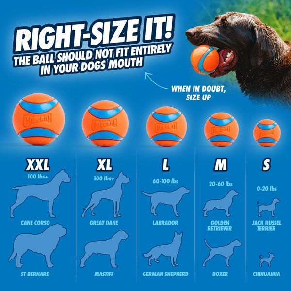 М&rsquo;яч для собак Chuckit! Ultra Ball XXL 10 см - 1 шт. CHUC170501 фото