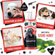 Bugalugs Flea and Tick Dog Shampoo with Neem Oil Бугалугс Шампунь від бліх і кліщів для собак з олією нім 250мл BSHFTKK250 фото 9