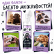Bugalugs No Rinse Paw Cleaner Lavender & Chamomile Пінка для лап Бугалугс, що не потребує змивання з ароматом лаванди та ромашки 200мл BPCLLE200 фото 2
