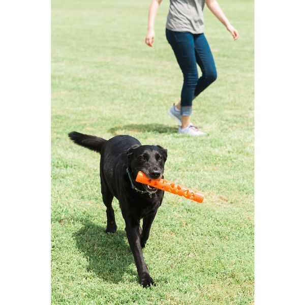 Іграшка для собак Chuckit! Air Fetch Stick CHUC32215 фото