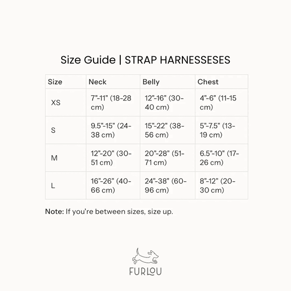 Анатомічна шлея Furlou Strap Harness Lavender and Terracotta Y-подібна лавандово-теракотова розмір XS 80000170LVTRXS фото