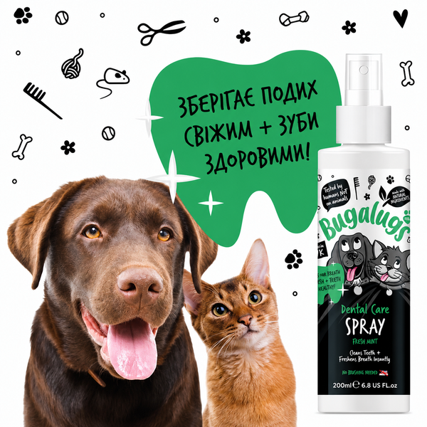 Bugalugs Dental Care Spray in Fresh Mint Спрей Бугалугс для гігієни ротової порожнини і свіжого дихання собак і котів 200мл BDENSPRY200 фото