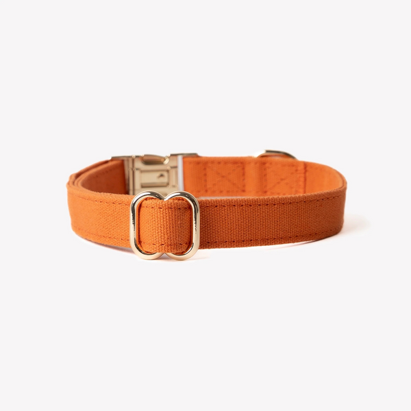 Нашийник Furlou Canvas Collar Terracotta для собак бововняний теракотовий розмір S 80000171TRCTS фото