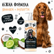 Bugalugs Oatmeal Conditioner (Coconut & Lime) Кондиціонер Бугалугс для собак з вівсянкою з ароматом кокосу і лайму 500мл BSCDTNML фото 3