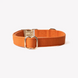 Нашийник Furlou Canvas Collar Terracotta для собак бововняний теракотовий розмір S 80000171TRCTS фото 2