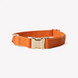 Нашийник Furlou Canvas Collar Terracotta для собак бововняний теракотовий розмір S 80000171TRCTS фото 1