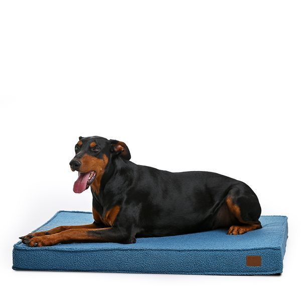 Лежак-матрац для собак NoblePet Nolan Teddy Blue (100x80x8см) N2156/100 фото