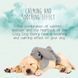 М&rsquo;яка іграшка для собак Cozy Dog Bunny Grey &mdash; сірий зайчик COZY001E фото 3