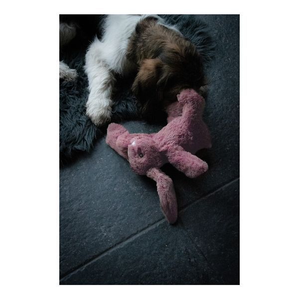 М&rsquo;яка іграшка для собак Cozy Dog Bunny Pink &mdash; рожевий зайчик COZY001A фото