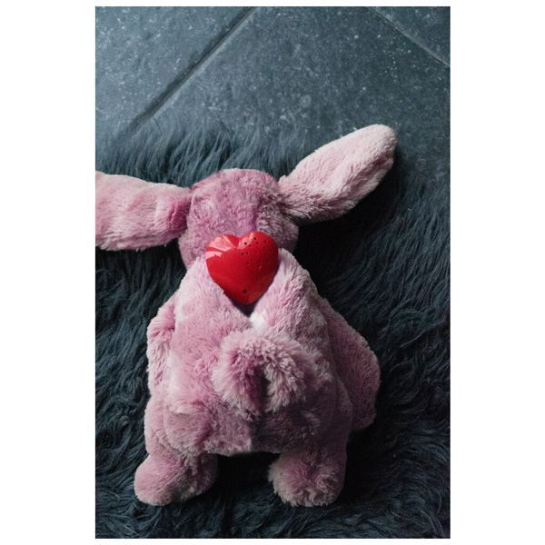 М&rsquo;яка іграшка для собак Cozy Dog Bunny Pink &mdash; рожевий зайчик COZY001A фото