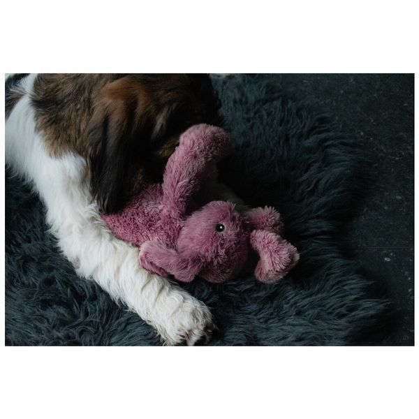 М&rsquo;яка іграшка для собак Cozy Dog Bunny Pink &mdash; рожевий зайчик COZY001A фото