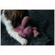М&rsquo;яка іграшка для собак Cozy Dog Bunny Pink &mdash; рожевий зайчик COZY001A фото 5