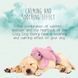 М&rsquo;яка іграшка для собак Cozy Dog Bunny Pink &mdash; рожевий зайчик COZY001A фото 3