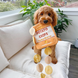 Chewffon Potato Chips Пошукова іграшка для собаки Картопляні чипси CF0011 фото 4