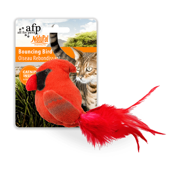 М'яка іграшка для котів ALL FOR PAWS Natural Instincts Bouncing Bird 2057 фото М'яка іграшка для котів ALL FOR PAWS Natural Instincts Bouncing Bird 2057 фото