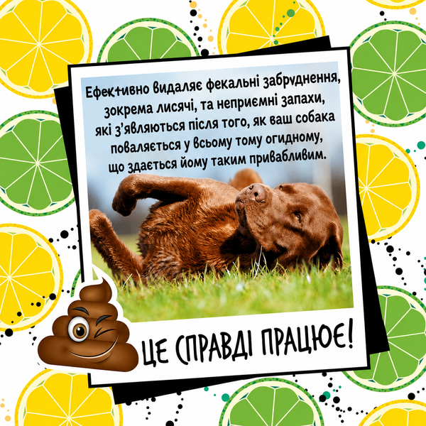 Bugalugs Stinky Dog Shampoo Бугалугс Шампунь для собак, що видаляє стійкий неприємний запах з суперпупер ароматом 250мл BSHFP250 фото