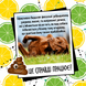 Bugalugs Stinky Dog Shampoo Бугалугс Шампунь для собак, що видаляє стійкий неприємний запах з суперпупер ароматом 250мл BSHFP250 фото 6