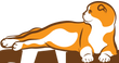 Котам