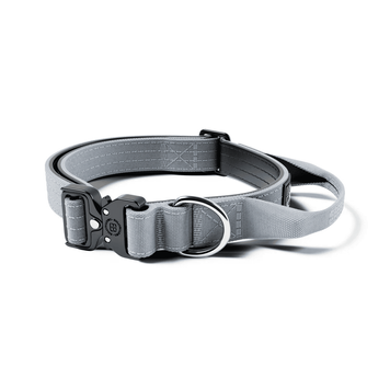 Нашийник BullyBillows Combat&reg; Collar Metal Grey 2,5см сірий з ручкою розмір XS-M (34-46см) bbccmg25 фото