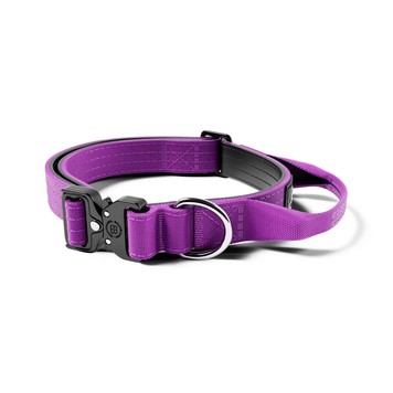 Нашийник BullyBillows Combat&reg; Collar Purple 2,5см фіолетовий з ручкою розмір XS-M (34-46см) bbccp25 фото