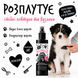 Bugalugs Detangle & Condition Spray Raspberry & Lemon Кондиціонуючий Спрей Бугалугс для розплутування ковтунів з ароматом малини і лимону 200мл BSDTRLM200 фото 6