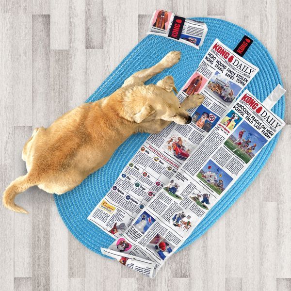 М&rsquo;яка іграшка для собак KONG Daily Newspaper XL JU04608 фото