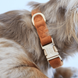 Нашийник Furlou Velvet Collar Clay для собак глиняно-бежевий розмір S 80000173CLS фото 3