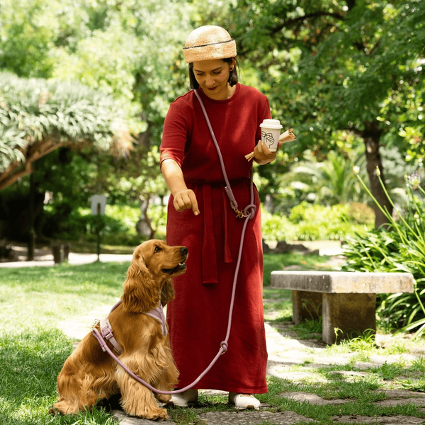 Повідець-перестібка для собак Furlou Hands Free Braided Leash Clay глиняний 80000174CL фото