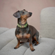 Нашийник Furlou Velvet Collar Green для собак зелений розмір S 80000173GRNS фото 3