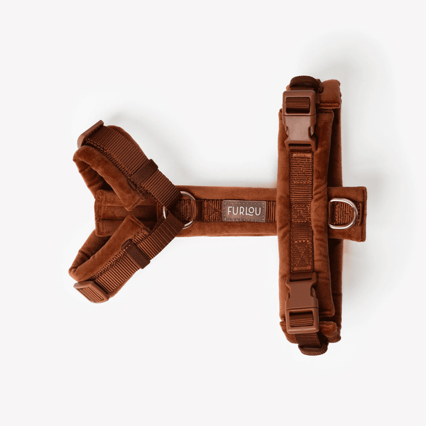 Анатомічна шлея Furlou Velvet Harness Clay Y-подібна глиняно-бежева розмір L 80000169CLL фото