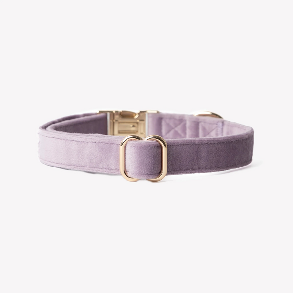 Нашийник Furlou Velvet Collar Lilac для собак бузковий розмір S 80000173LLCS фото