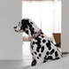 Нашийник Furlou Velvet Collar Lilac для собак бузковий розмір S 80000173LLCS фото 3