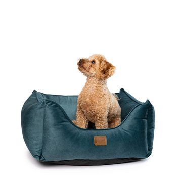 Лежак для собак NoblePet Leon Green M (55x45x18см) LE2137/55 фото