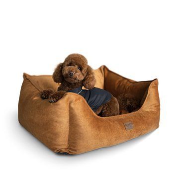 Лежак для собак NoblePet Leon Saffron M (55x45x18см) LE2138/55 фото
