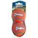 Тенісні м&rsquo;ячі для собак Chuckit! Tennis Ball S 5 см - 2 шт. CHUC071021 фото 2